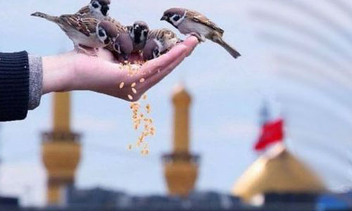 تور مشهد با قطار اراک